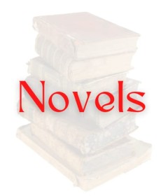 NOVEL